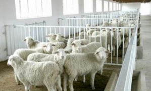 �F(xi��n)���B(y��ng)ֳ��(ch��ng)�����x����ι�ˮ�O(sh��)�䣿